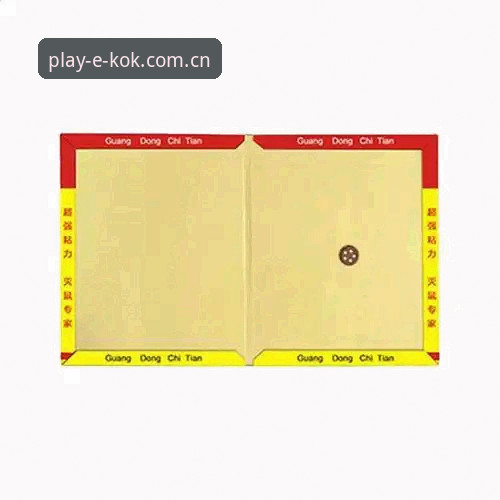 kok官方APP vs 网页版：最新kok使用教程与深度对比分析