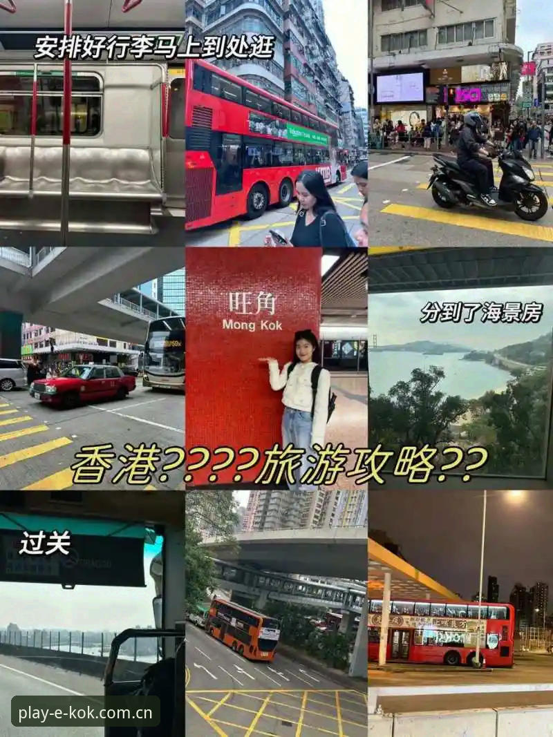 揭秘kok官方中国官网安全吗？新手必看的深度分析与操作指南